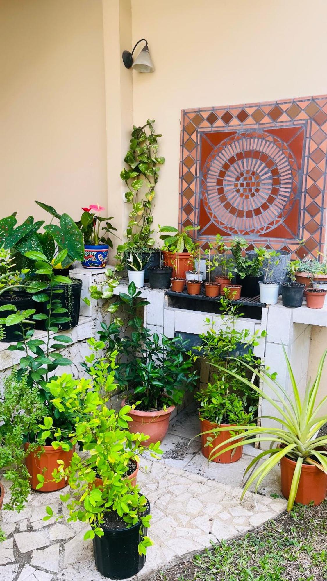 Ester'S Place Escazú エクステリア 写真