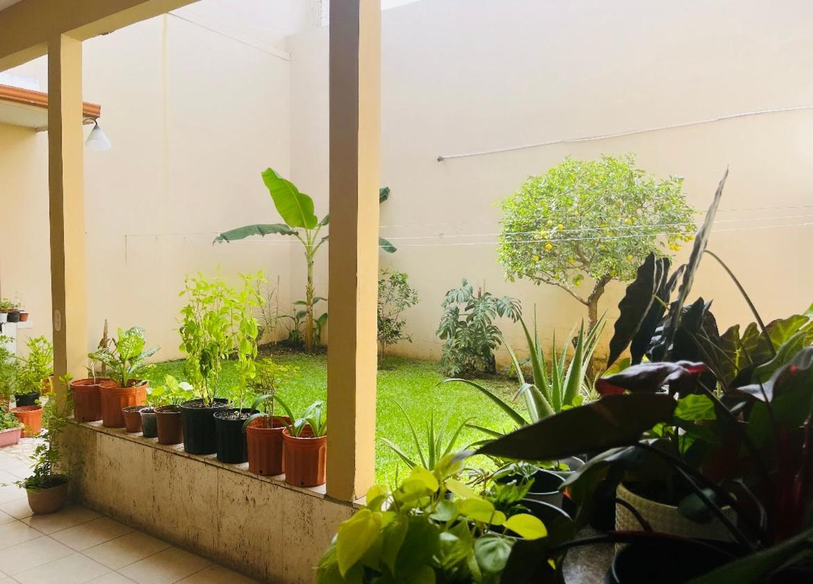 Ester'S Place Escazú エクステリア 写真