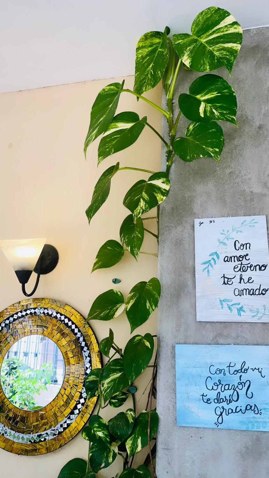 Ester'S Place Escazú エクステリア 写真