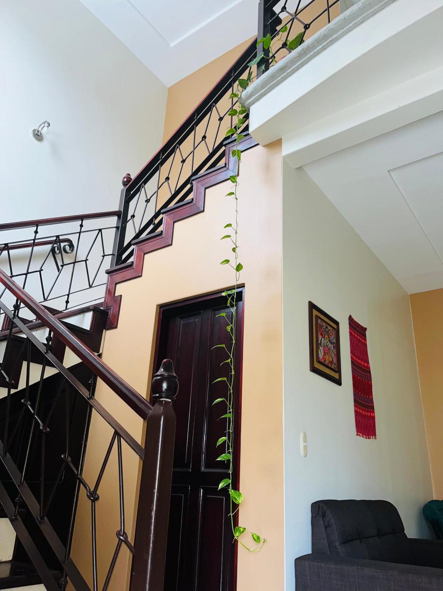 Ester'S Place Escazú エクステリア 写真